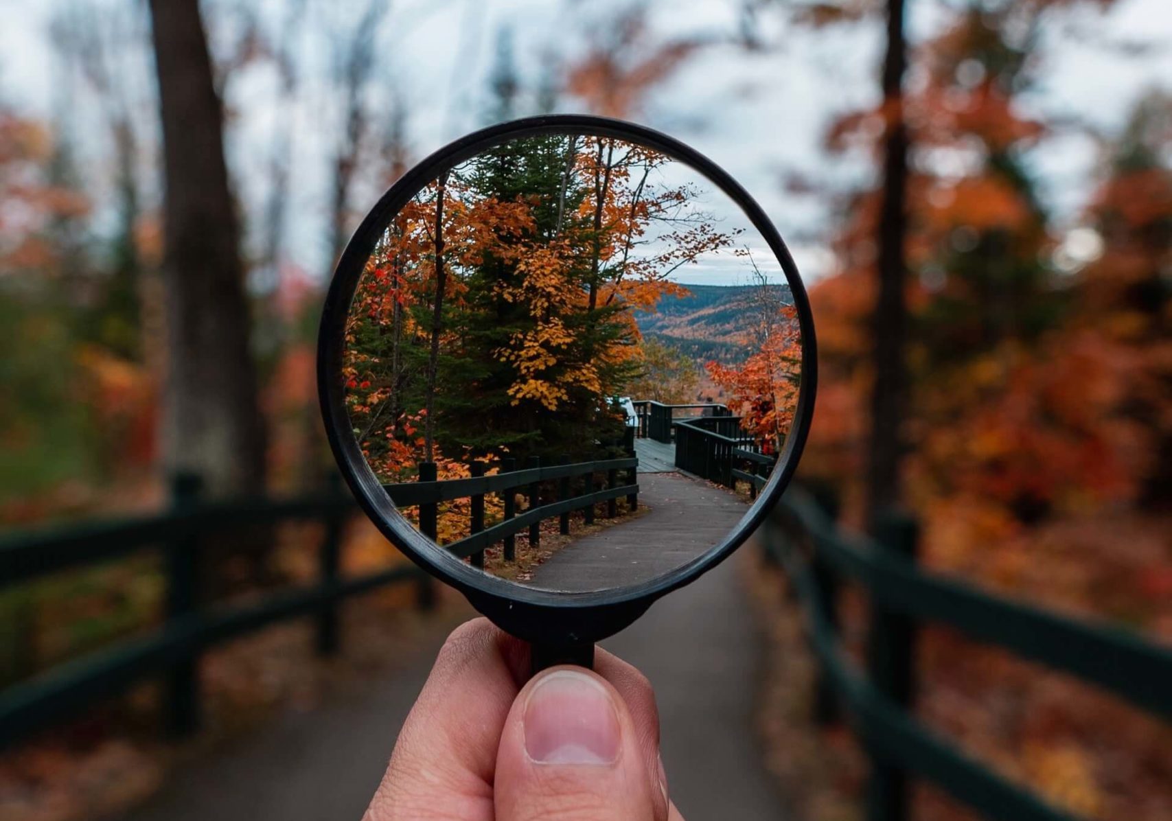 A magnifying glass is held in front of a paved trail with bright orange fall foliage on all sides of the trail